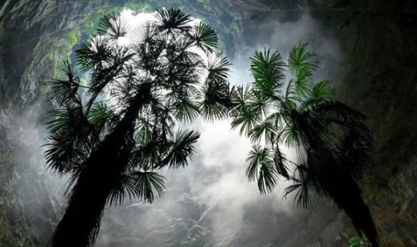 В Китае обнаружили гигантскую дыру в земле с сорокаметровыми деревьями на дне
