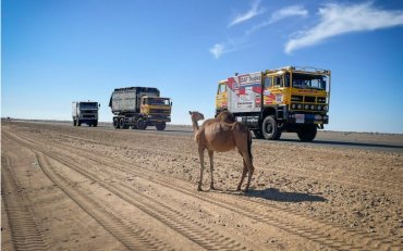 В Саудовской Аравии стартовало ралли «Дакар»