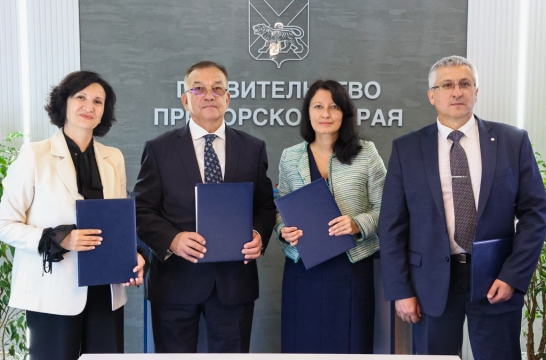 Региональные профориентационные проекты и семинары для школьников проведут в Приморском океанариуме