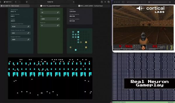 Система на живых человеческих неройнах от Cortical Labs научилась запускать Doom