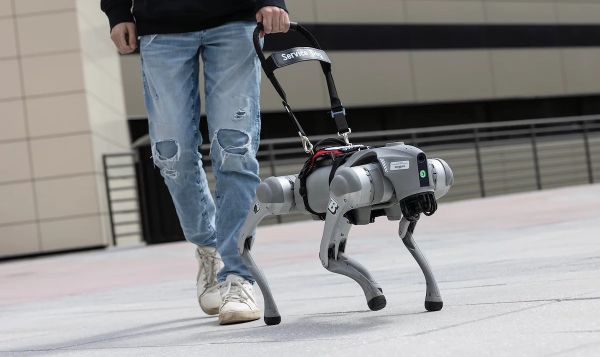 Роботы-поводыри справляются с работой лучше, чем специально обученные собаки