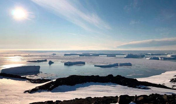 Российские ученые открыли новый оазис в Антарктиде