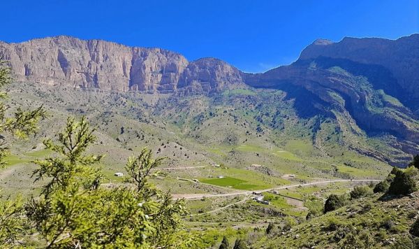 В Узбекистане найден древнейший город Шелкового пути возрастом более 3000 лет