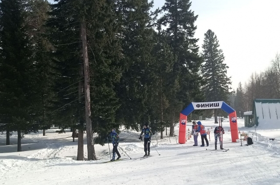 В Кузбассе завершились областные соревнования по спортивному ориентированию